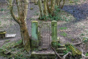 gate-alone-THE HOLLIES ©Lizzie coombes 2016-81